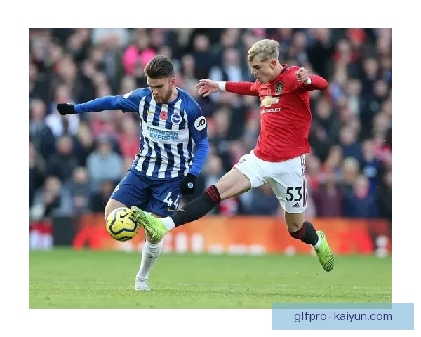 布莱顿控球体系再创新高，英超赛场表现亮眼，展现魅力足球新风貌